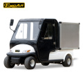 Mini coche eléctrico de EXCAR, coche eléctrico con la puerta de la cabina, carro de golf eléctrico de aluminio